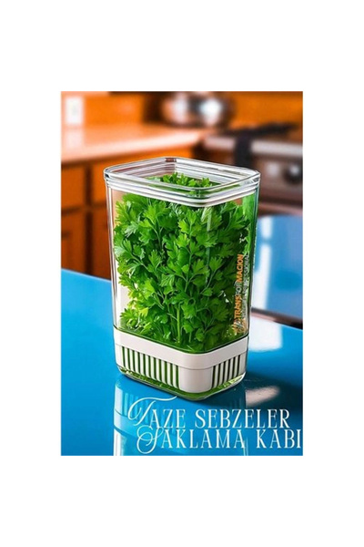 shopwave Greens Storage Container - for Fresh Greens - Onion Parsley Etc Gree...