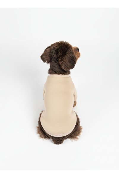 For a Fur Dog Sweater Dog T-Shirt Beige Sweat Hoodie Cream Sweat