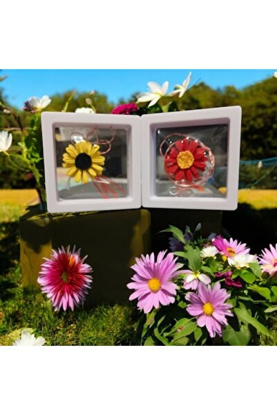 Vision XXI Set of 2 3D Flower Brooches, Multicolor, 3cm