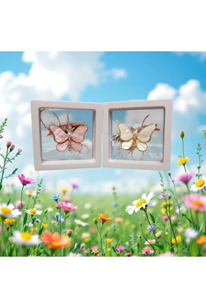 Vision XXI Set 2 Martisor Brosa Mare 3D Fluture Sidefat