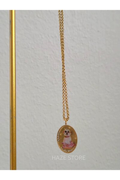 Haze Sweet Dog Plate Necklace 316L Stainless Steel Medallion