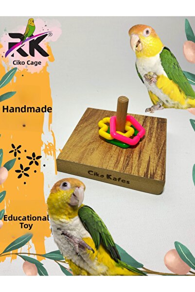 Ciko Kafes Bird Intelligence Game