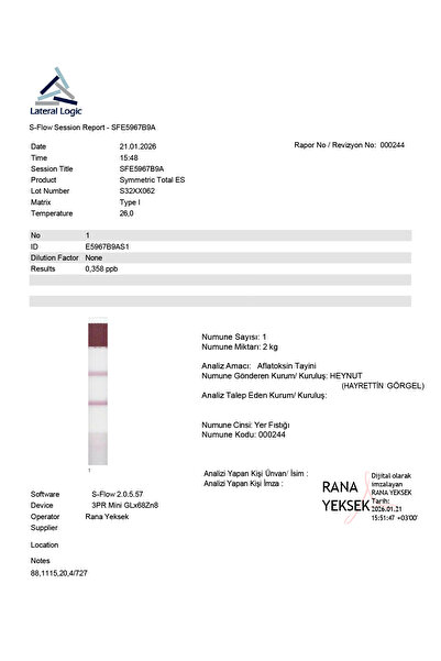 HEYNUT Kavrulmuş Tuzlu Yer Fıstığı 500 g Katkısız Vegan Yüksek Protein Atıştırmalık