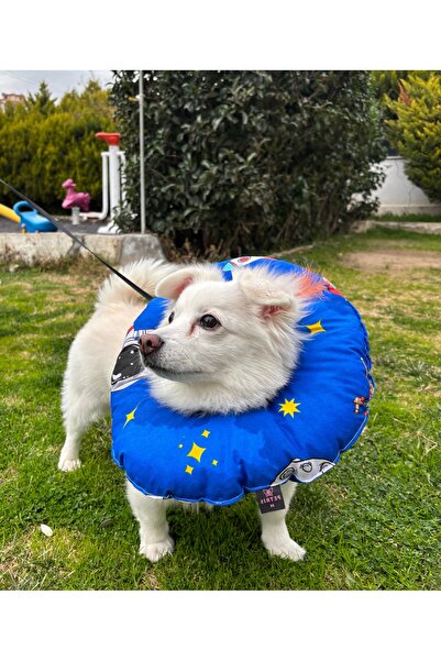 Petris Cat And Dog Neck Collar-elizabeth Collar Operation Neck Collar-cat Nec...