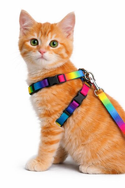 PHENORA طوق قطط بتصميم أنيق متعدد الألوان - قوي ومتين بطول 1.20 متر