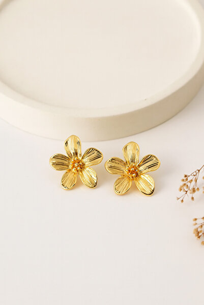 Jack Ferrero KADIN ÇELİK RENKLİ KÜPE