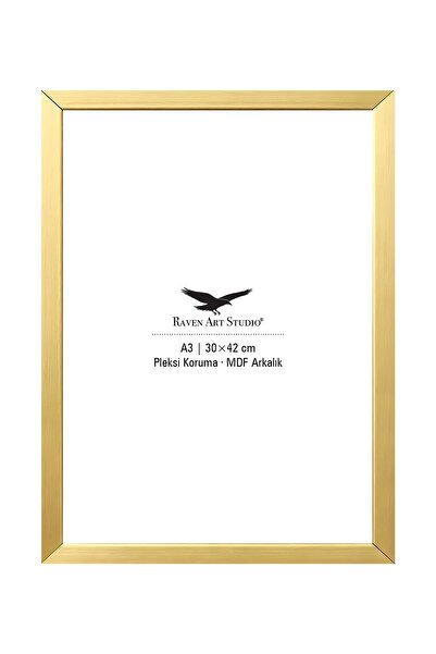 Raven Art Studio Ermitaj A3 Ebat 30cm x 42cm Altın Resim Fotoğraf Belge Poste...