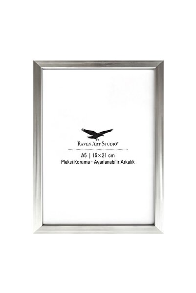 Raven Art Studio Ermitaj 15cm X 21cm Silver Picture Photo Document Poster Doc...