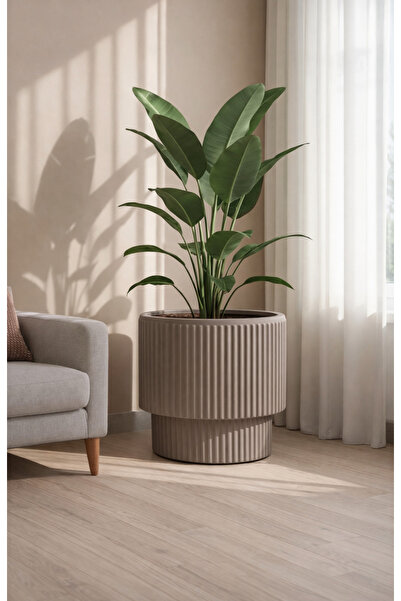 esm vase MODERN DEKORATİF ÇİZGİLİ MOCHA BÜYÜK EV OFİS SAKSISI