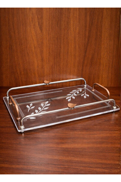 ALQANNAS Modern Rectangular Acrylic Serving Tray with Wood-Finish Stainless S...