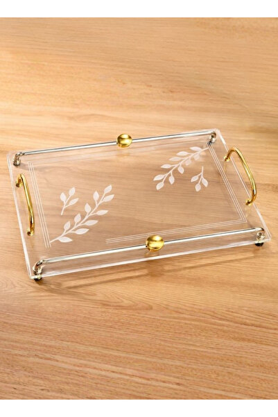 ALQANNAS Modern Rectangular Acrylic Serving Tray with Gold Stainless Steel Ha...