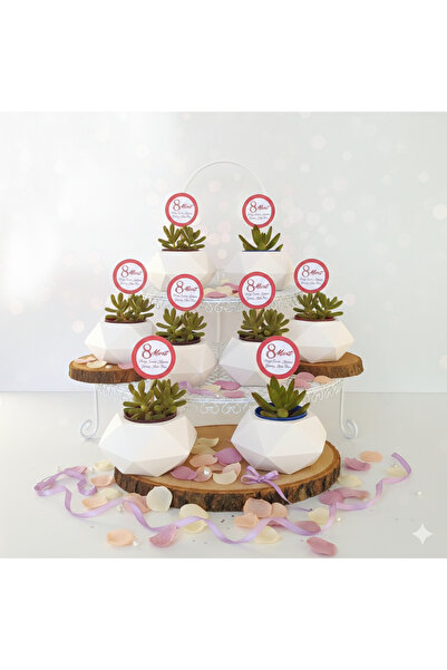 ORGANİZASYON HEDİYEM 5 Adet 8 Mart Dünya Kadınlar Günü Kurumsal Hediyelik Geo...