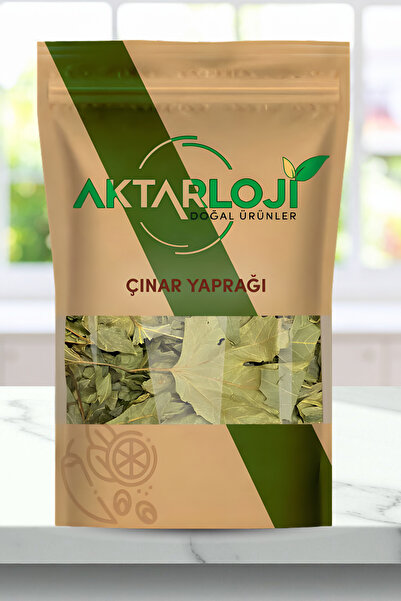 aktarloji 100 Gr Çınar Yaprağı Çayı / Çınar Ağacı Yaprağı - Katkısız & Doğal