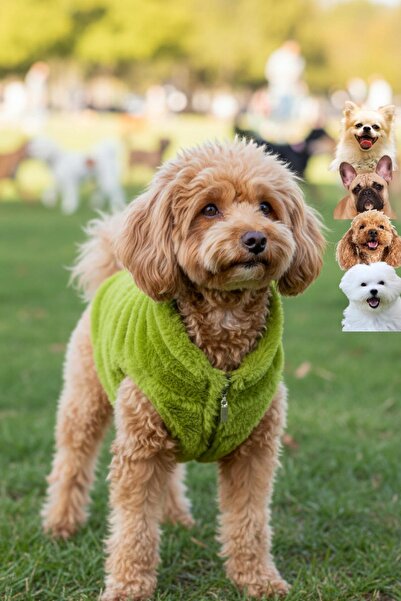 salya store ملابس للكلاب - سترة للكلاب بسحاب