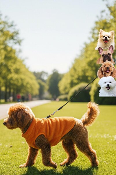 salya store سترة كلب من القطيفة البرتقالية على شكل أرنب مع سحاب