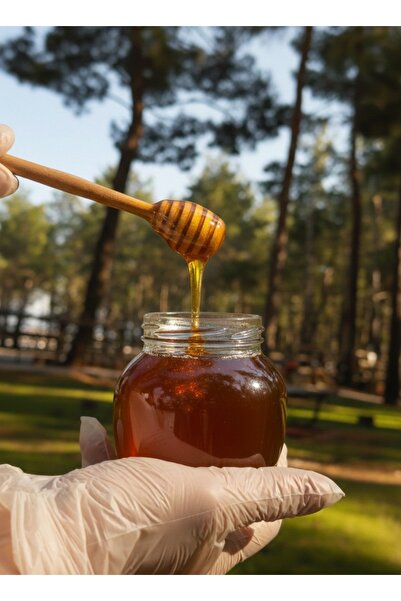 Balkovan Doğal Organik Yayla Çam Balı 850gr.