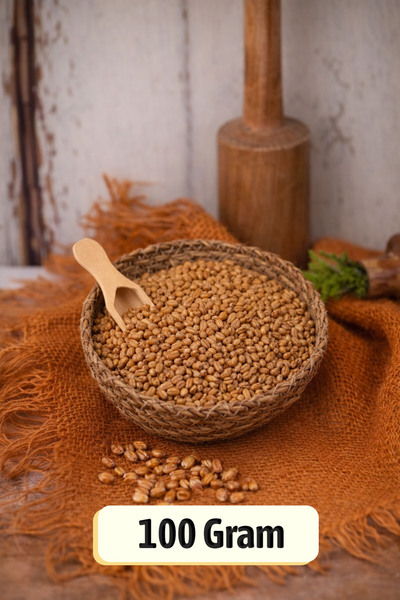 ÜLKÜ KURUYEMİŞ (100 GR) Buğday Kavurgası