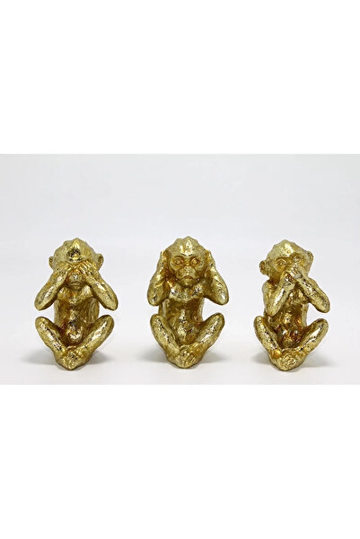 Kanonik Education بوليستر 3 قرد 019-803