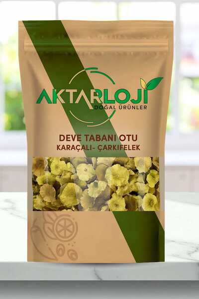 aktarloji 250 Gr Deve Tabanı Otu ( Karaçalı - Çarkıfelek ) - Katkısız & Doğal