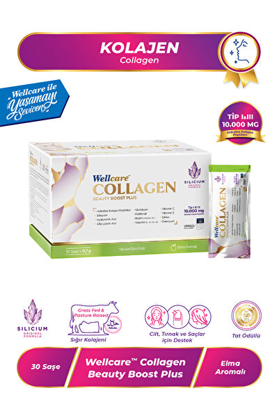 Wellcare كولاجين بيوتي بوست بلس تيب I & III 10.000 مجم - 30 كيس