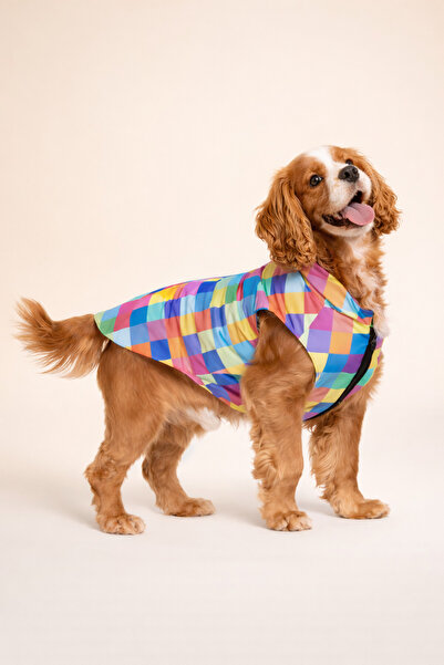 Alphadog Design Colorbox Büyük Köpek Kıyafeti Yelek Mont