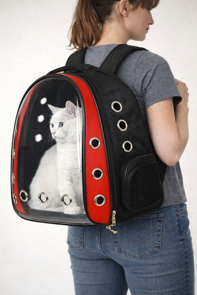 Ksburda Şeffaf Hava Kanallı Kırılmaz Cam Kedi Köpek Taşıma Seyahat Çanta 42*22*33 Cm