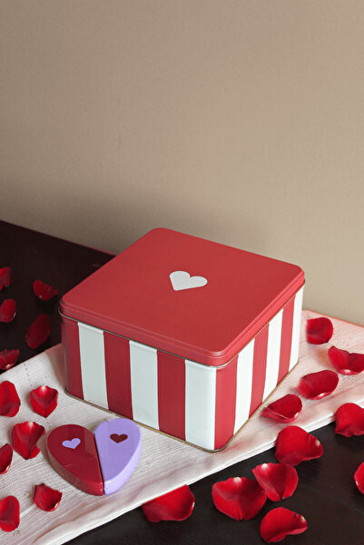 Sarkap Home Bordo Kalpli Metal Saklama Kutu