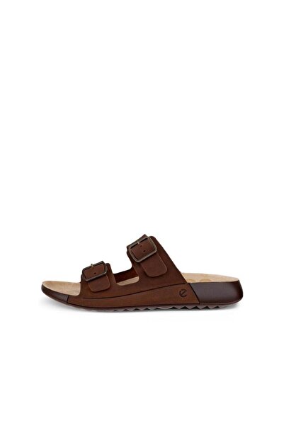 Ecco Cozmo W Potting Soil