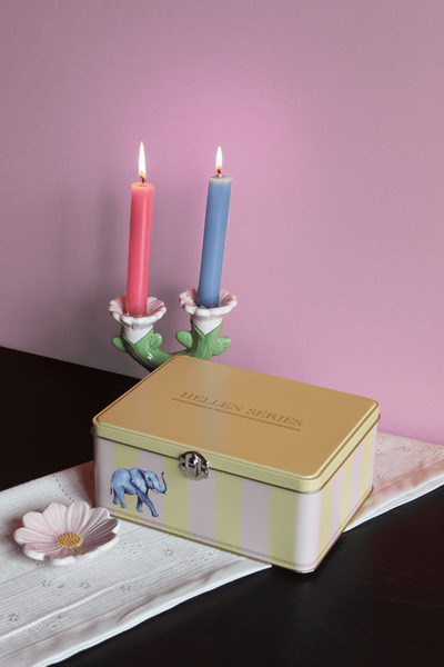 Sarkap Home Hellen Serisi Kilitli Metal Saklama Kutusu