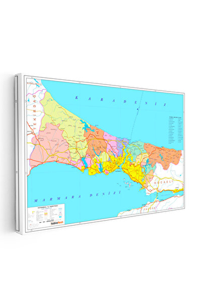 Tablofest İstanbul - İl Haritası Kanvas Tablo