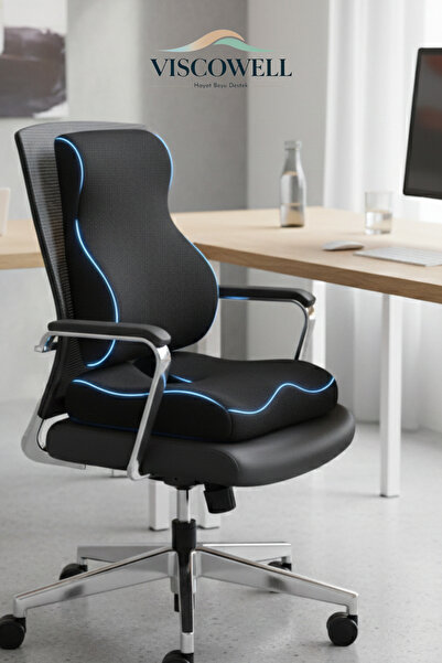 ViscoWell Visco Ortopedik Oturma ve Bel Destek Minderi Seti Koksiks Minderi S...