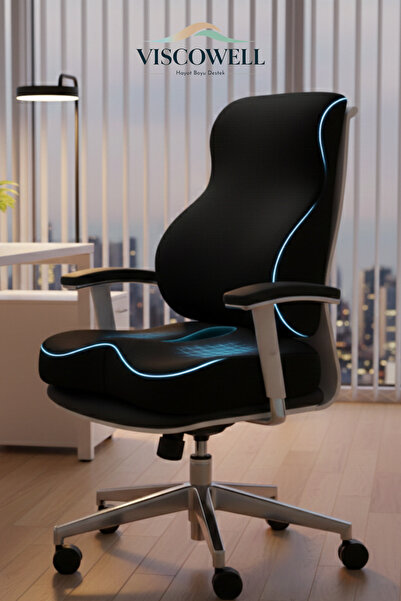 ViscoWell Ortopedik Bel ve Oturma Minderi Seti Araç Ofis Koltuk Sandalye Bel ...