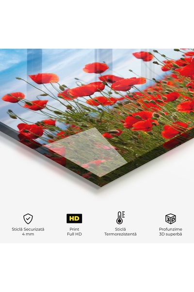 Arthub Panou Sticla Bucatarie, Protectie aragaz, Termorezistent, Flori, Poppy Field