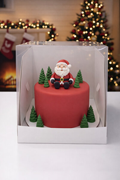 Ege Concept Life Şeffaf Asetat Pasta Kutusu 21x21x18 - 20 Mikron Kalın Kapak ...