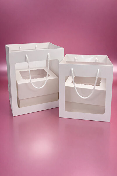 Ege Concept Life حقيبة هدايا وكيك بنافذة شفافة - كرتون بريستول 28x28x28