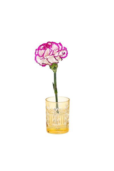 Missi Flora Design- Minimal Amber Cut Glass Vase