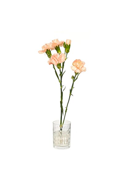 Missi Flora Design- Minimal Transparent Leaf Cut Glass Vase
