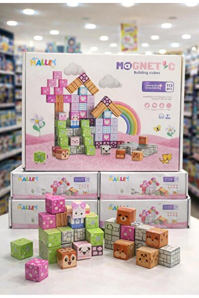 Online 113 Parça Manyetik Yapı Blokları Renkli Manyetik Küpler