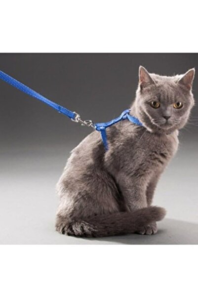 BRF Elizberrasell Orret Home 110 cm Body-Fitting Cat Collar, Comfortable and ...