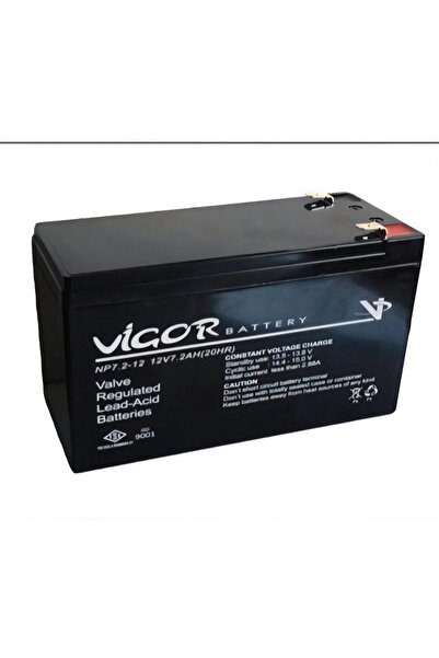 Vigor ups 12v7