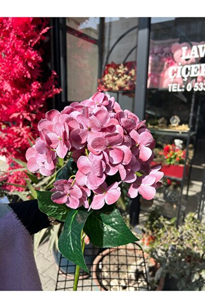 Tasarım Yapay Islak Ortanca