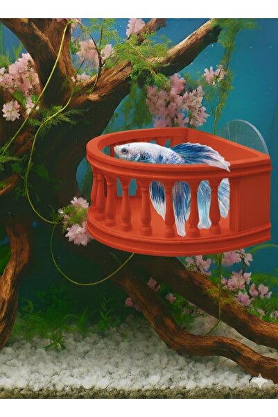 Akvaryum Beta Balıgı Dinlenlenme Alanı Mini Balkon ( Kırmızı )