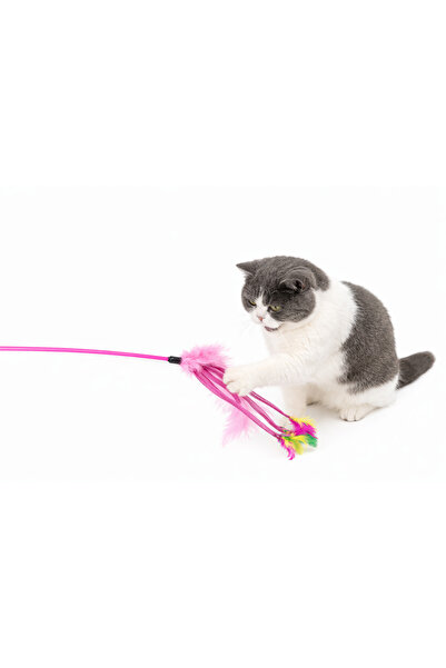 Catlife Kedi oyuncağı