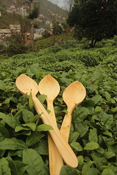 Home Boxet Spoon (1 Pcs)