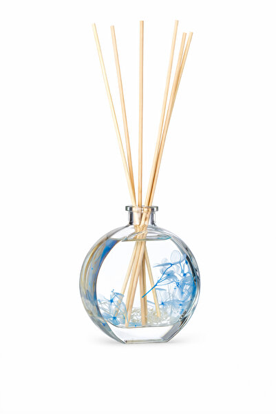 Jumbo Voyager Scented Oil with Stick - 100ml