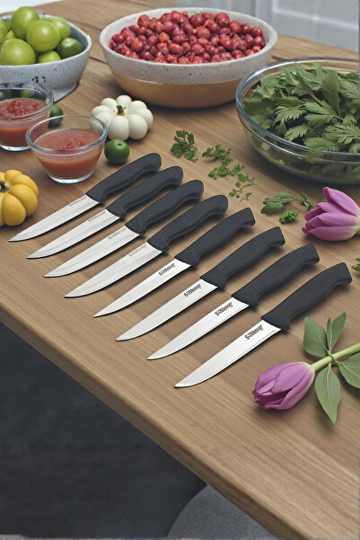 SRMesser 1881 8’li Meyve Bıçağı Seti 4 + 4 Dövme Çelik