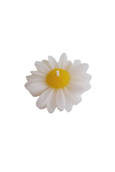victiny SET 5 White and Yellow Daisy Candle