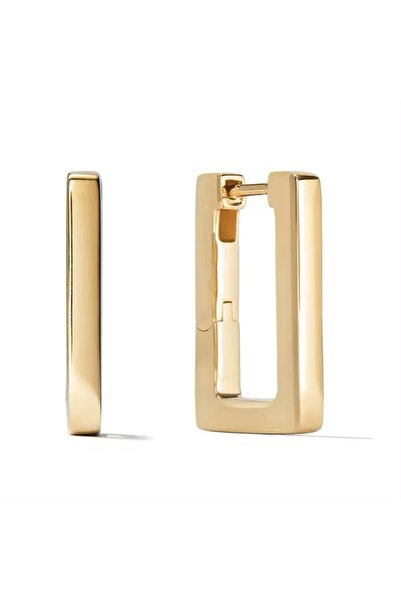 Other Elegant Gold-Plated Rectangle Earrings