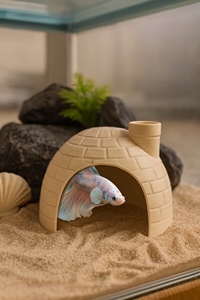 Akvaryum Balık Yuvası ✱ Beta Balıgı Yuvası ✱ Japon, Tetra, Çöpçü, Lepistes Uy...