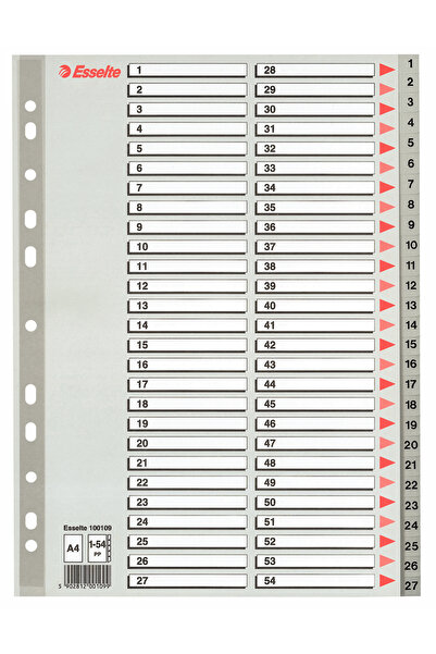Esselte Plastic Index Dividers 1–54 Maxi